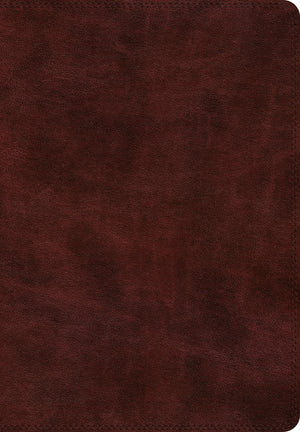 ESV Super Giant Print Bible (TruTone, Burgundy) front cover (1025051951151)