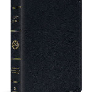 ESV Large Print Wide Margin Bible