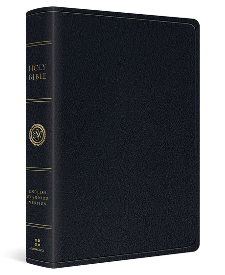 ESV Large Print Wide Margin Bible (Genuine Leather, Black) cover image (1025077903407)