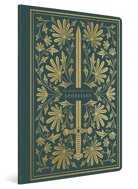 ESV Illuminated Scripture Journal: Ephesians (Paperback) cover image (1066782752815)