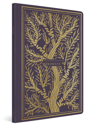 ESV Illuminated Scripture Journal: Romans (Paperback) cover image (1066783113263)