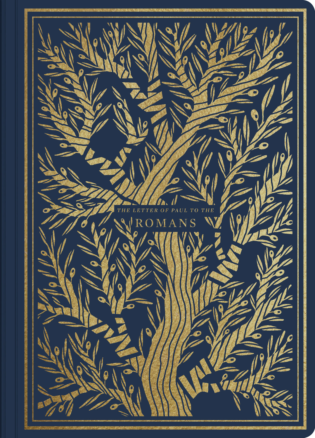 ESV Illuminated Scripture Journal: Romans (Paperback) front cover (1066783113263)