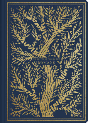 ESV Illuminated Scripture Journal: Romans (Paperback) front cover (1066783113263)