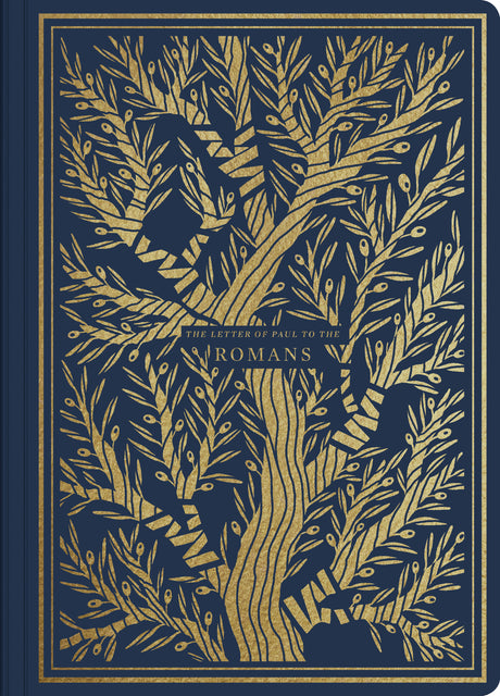 ESV Illuminated Scripture Journal: Romans (Paperback) front cover (1066783113263)