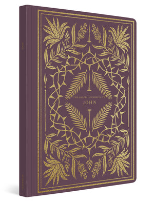 ESV Illuminated Scripture Journal: John (Paperback) cover image (1066782883887)