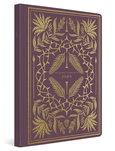 ESV Illuminated Scripture Journal: John (Paperback) cover image (1066782883887)