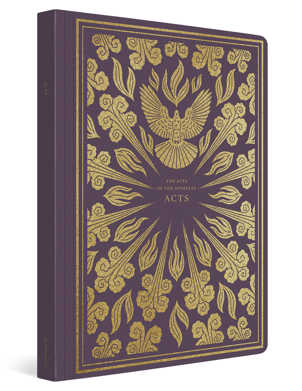 ESV Illuminated Scripture Journal: Acts (Paperback) cover image (1066782687279)