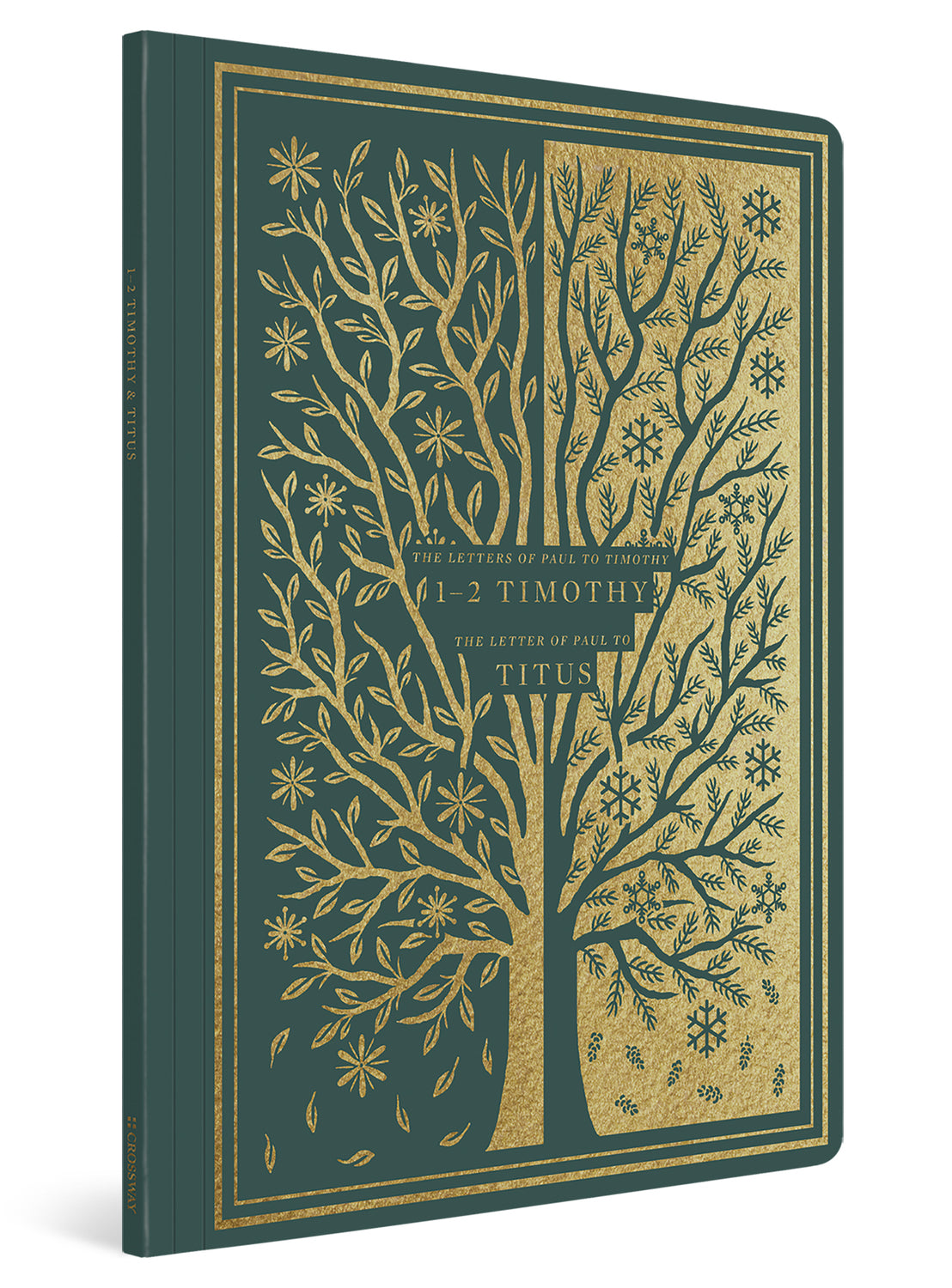 ESV Illuminated Scripture Journal: 1-2 Timothy and Titus (Paperback) cover image (1066782523439)