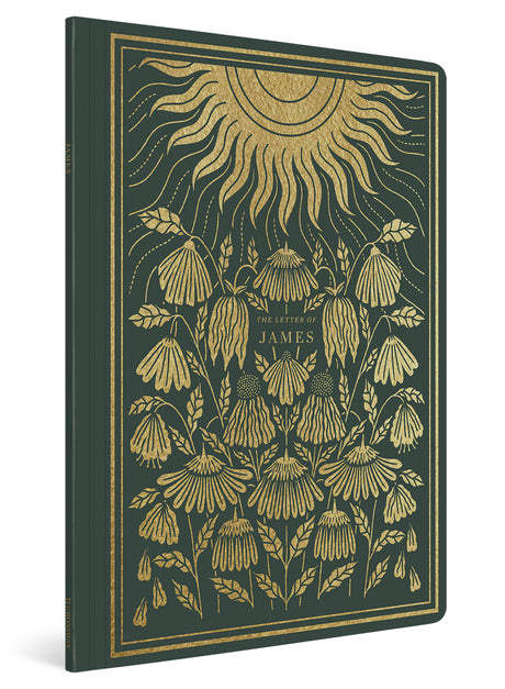 ESV Illuminated Scripture Journal: James (Paperback) cover image (1066782851119)
