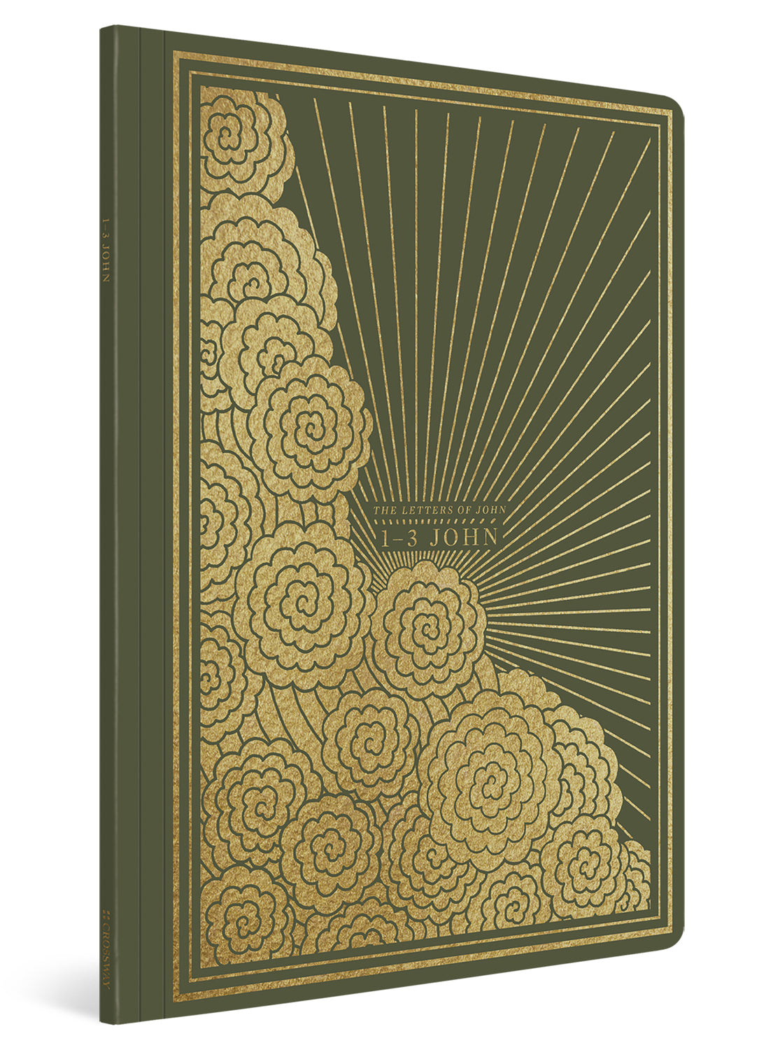 ESV Illuminated Scripture Journal: 1-3 John (Paperback) cover image (1066782556207)