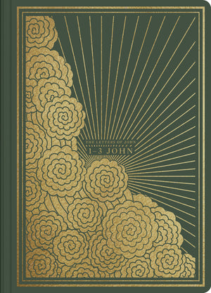 ESV Illuminated Scripture Journal: 1-3 John (Paperback) front cover (1066782556207)