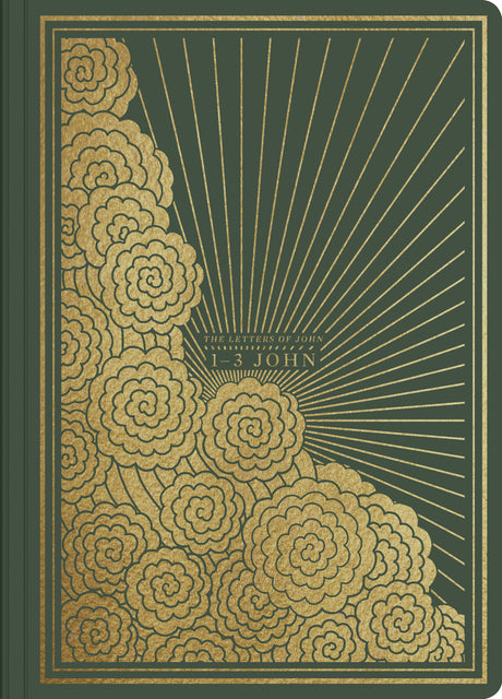 ESV Illuminated Scripture Journal: 1-3 John (Paperback) front cover (1066782556207)