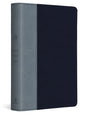 ESV Student Study Bible (Trutone, Navy/Slate, Timeless Design) cover image (6080112951496)