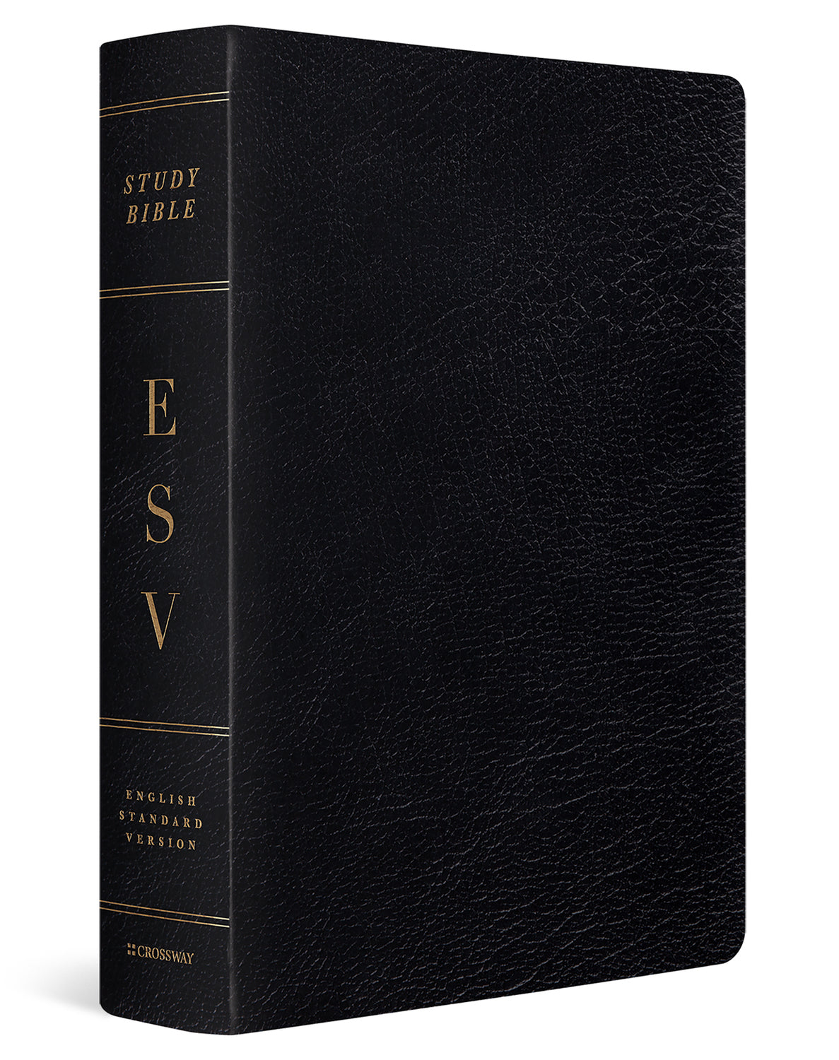 ESV Study Bible, Large Print (Black, Indexed) cover image (6080111771848)
