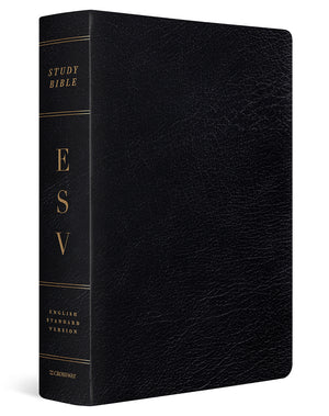 ESV Study Bible, Large Print (Black, Indexed) cover image (6080111771848)