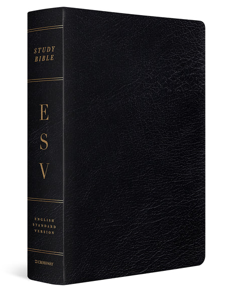 ESV Study Bible, Large Print (Black, Indexed) cover image (6080111771848)