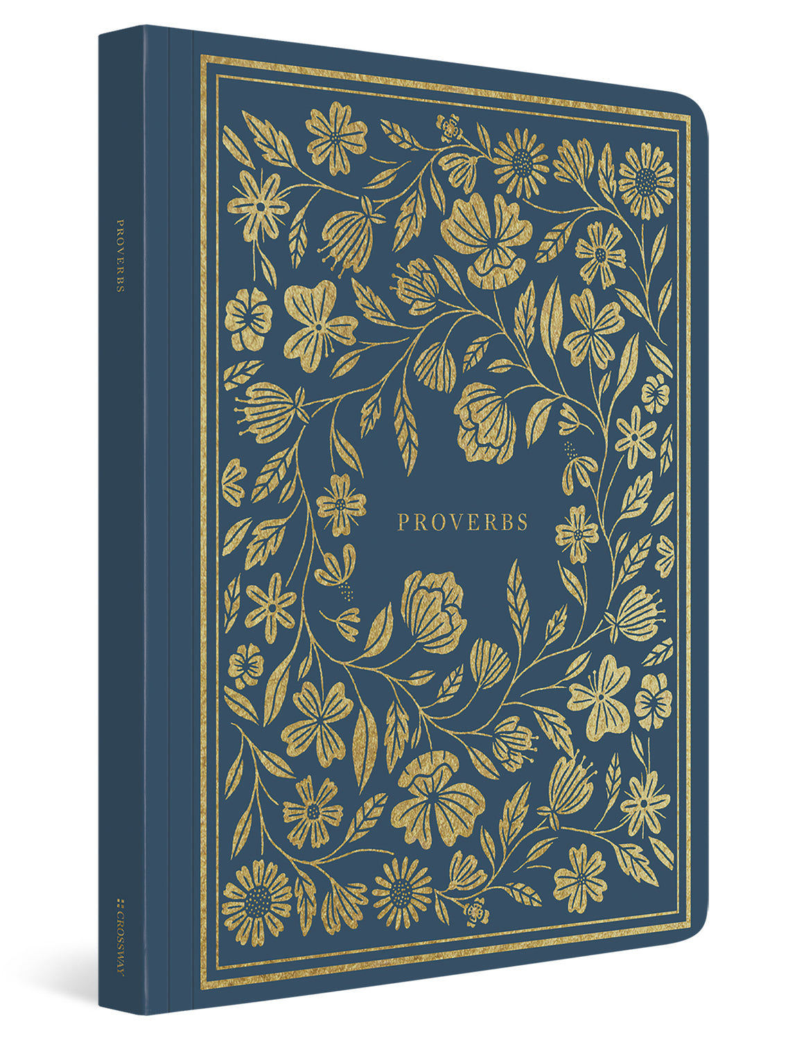 ESV Illuminated Scripture Journal: Proverbs (Paperback) cover image (4357106565182)