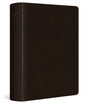 ESV Single Column Journaling Bible, Large Print (Trutone, Deep Brown) cover image (4478975508542)
