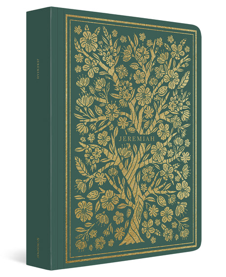 ESV Illuminated Scripture Journal: Jeremiah (Paperback) cover image (4357154799678)
