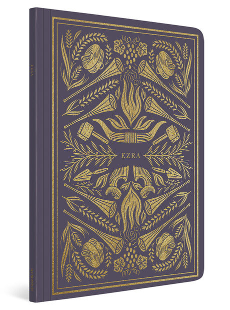 ESV Illuminated Scripture Journal: Ezra (Paperback) cover image (4357162336318)