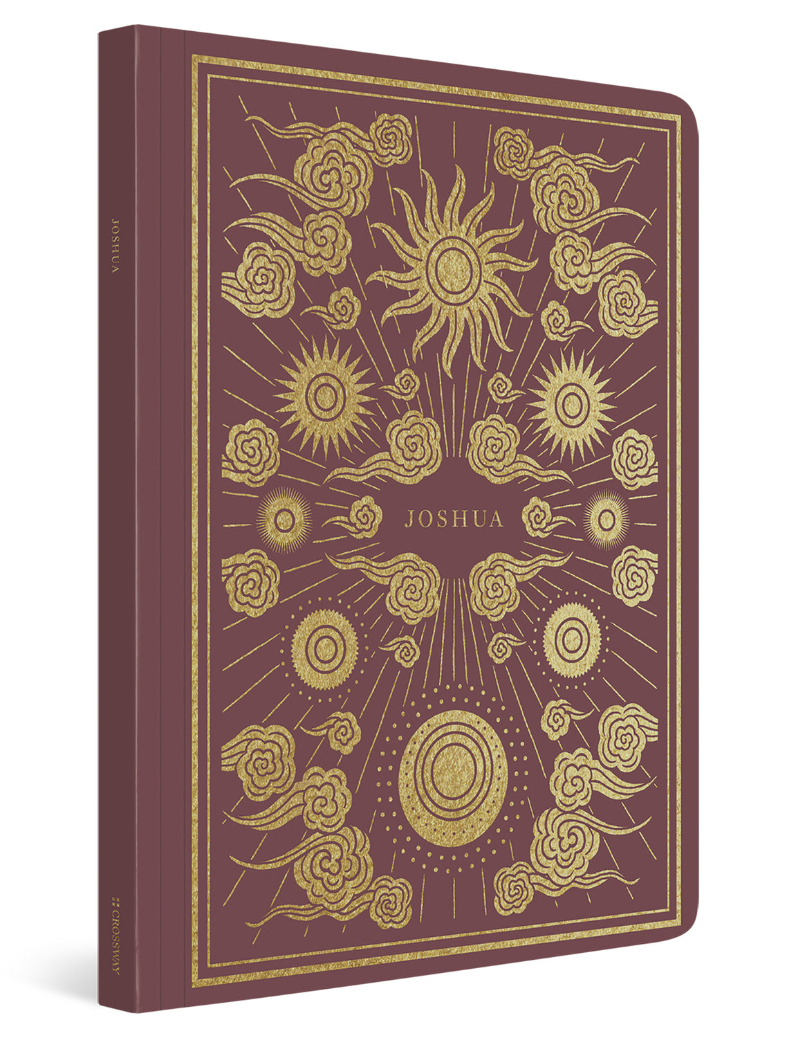 ESV Illuminated Scripture Journal: Joshua (Paperback) cover image (4357175115838)