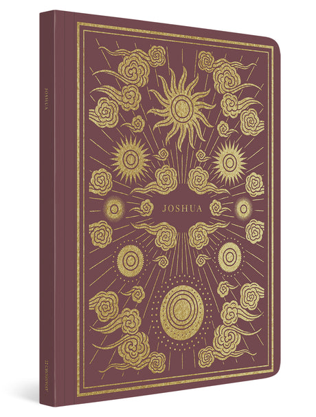 ESV Illuminated Scripture Journal: Joshua (Paperback) cover image (4357175115838)
