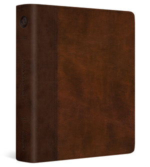 ESV Journaling Bible (Trutone, Brown/Tan, Timeless Design) cover image (7237938839752)