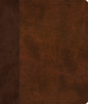 ESV Journaling Bible (Trutone, Brown/Tan, Timeless Design) front cover (7237938839752)