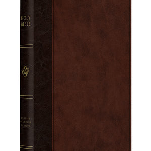ESV Large Print Thinline Reference Bibles