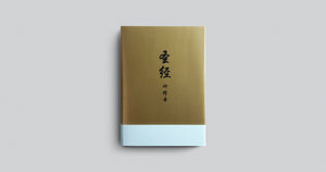 Chinese Study Bible (Hardcover)