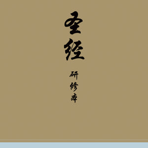 Chinese Study Bible