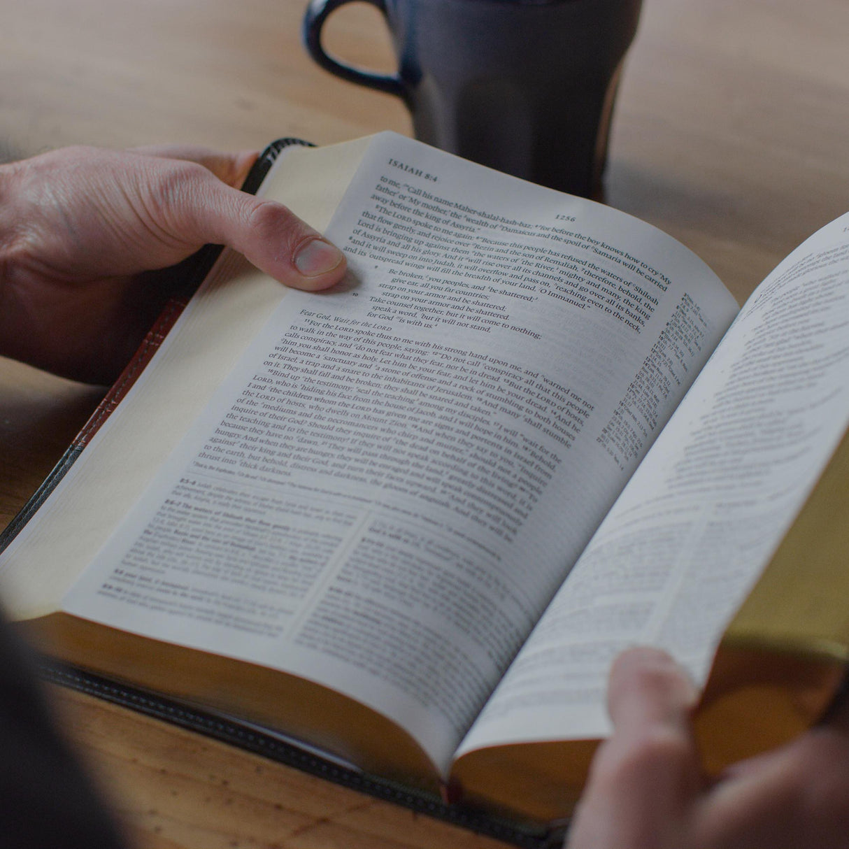 ESV Study Bible, Personal Size (Trutone, Forest/Tan, Trail Design)