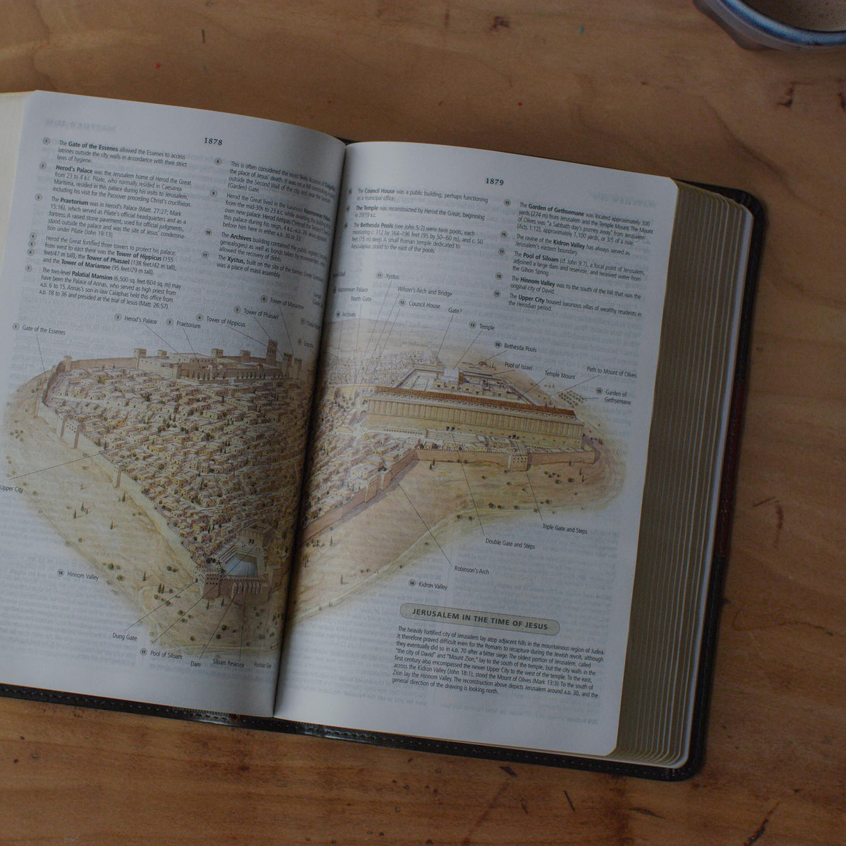 ESV Study Bible, Personal Size (Trutone, Forest/Tan, Trail Design)