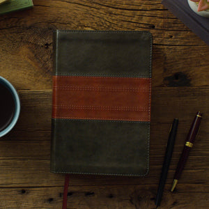 ESV Study Bible, Personal Size (Trutone, Forest/Tan, Trail Design)
