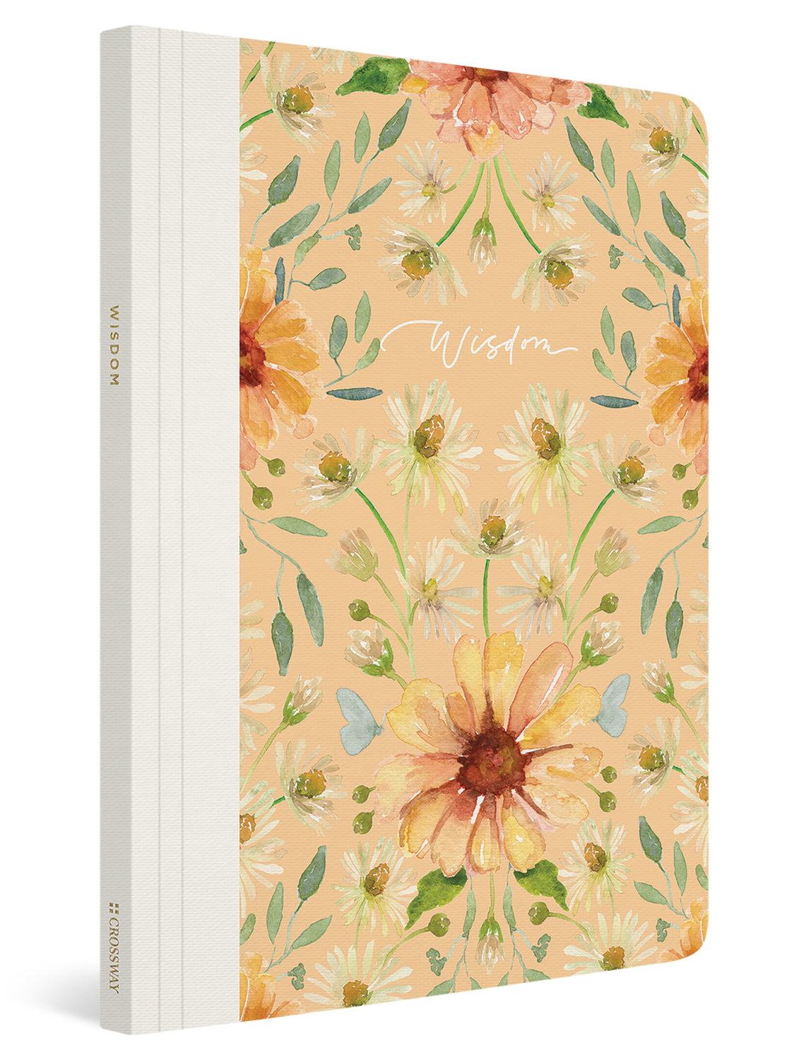 ESV Prayer Journal: 30 Days on Wisdom (Paperback) cover shown at an angle