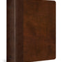 ESV Journaling Study Bible (Trutone, Brown/Chestnut, Timeless Design)