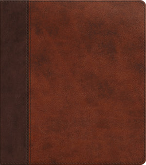 ESV Journaling Study Bible (Trutone, Brown/Chestnut, Timeless Design) front cover (7574188982472)