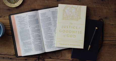 The Justice and Goodness of God: A Biblical Case for the Final Judgment - Schreiner, Thomas R - 9781433591198