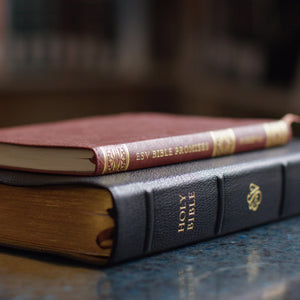 ESV Bible Promises: 700 Passages to Strengthen Your Faith (Trutone, Brown)