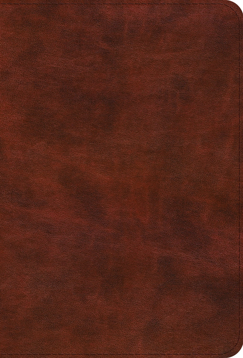 ESV Bible Promises: 700 Passages to Strengthen Your Faith (Trutone, Brown) front cover (7714245017800)