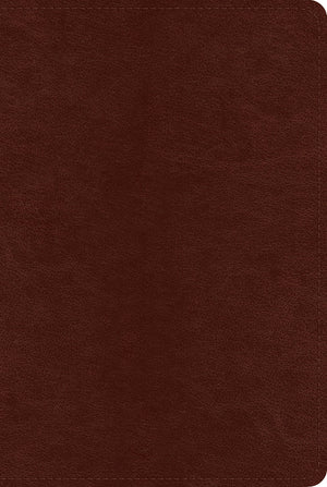 ESV Systematic Theology Study Bible: Theology Rooted in the Word of God (Trutone, Chestnut) front cover (7714244985032)