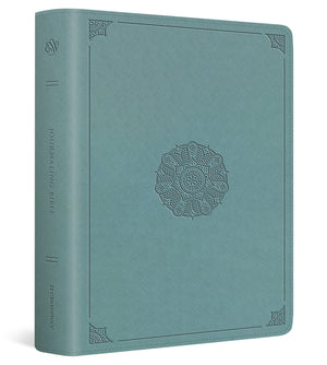 ESV Journaling Bible (Trutone, Paris Sky, Emblem Design) cover image (8251945910472)