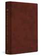 ESV Everyday Gospel Bible: Connecting Scripture to All of Life (Trutone, Chestnut) cover image (7899842117832)