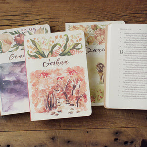 ESV Scripture Journal: Old and New Testament Sets (Artwork by Ruth Chou Simons) (Paperback)