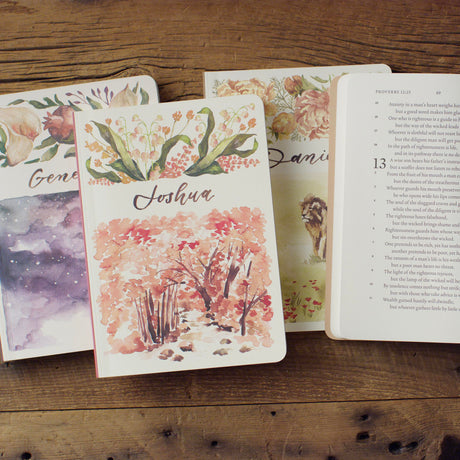 ESV Scripture Journal: Old and New Testament Sets (Artwork by Ruth Chou Simons) (Paperback)