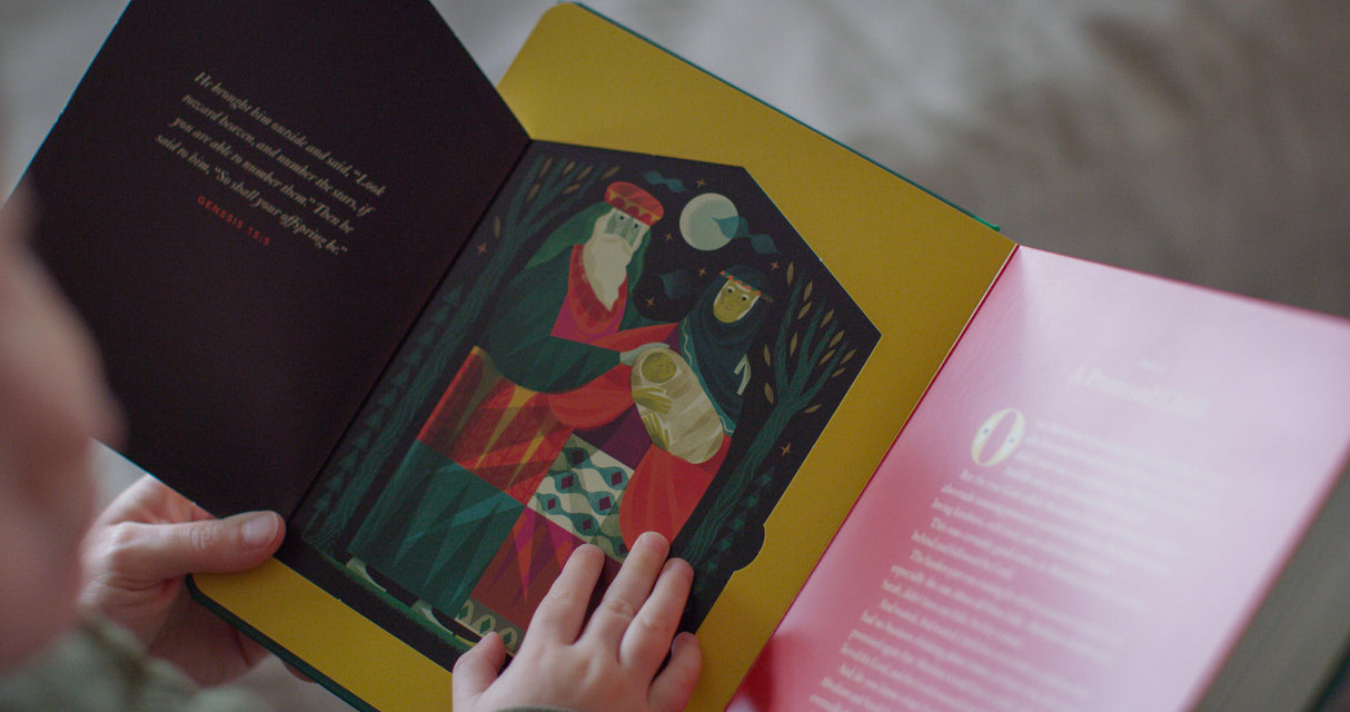 The Biggest Story Advent: 25 Lift-The-Flap Devotions for Families