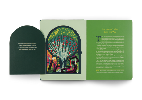 The Biggest Story Advent: 25 Lift-The-Flap Devotions for Families