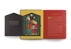 The Biggest Story Advent: 25 Lift-The-Flap Devotions for Families