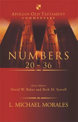 Numbers 20-36 - Morales, L Michael - 9781789745559