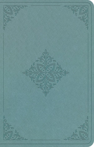 ESV Premium Gift Bible (Trutone, Paris Sky, Fleur-De-Lis Design) front cover (8251959640264)
